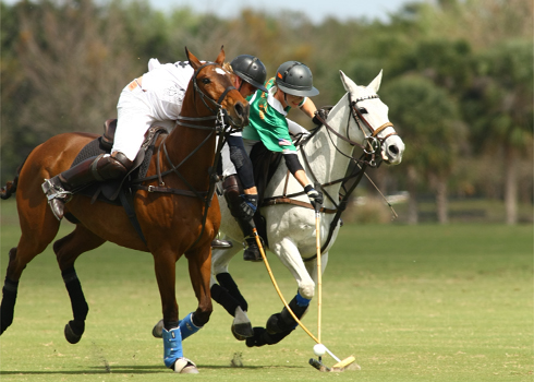 alexpacheco polo photos free booter polo tournament int polo club 2