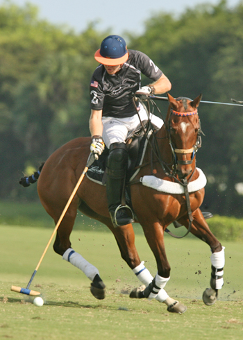 Audi Polo Team L ucchese Polo Team IPC