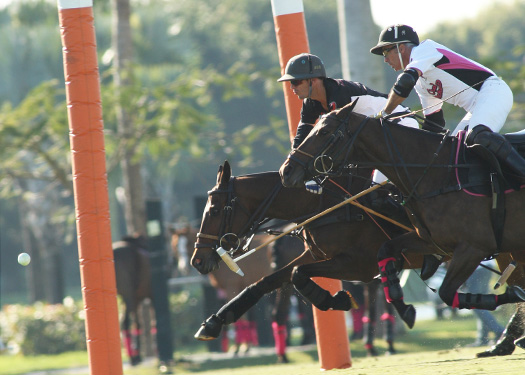 Photos-Joe Barry memorial Cup final