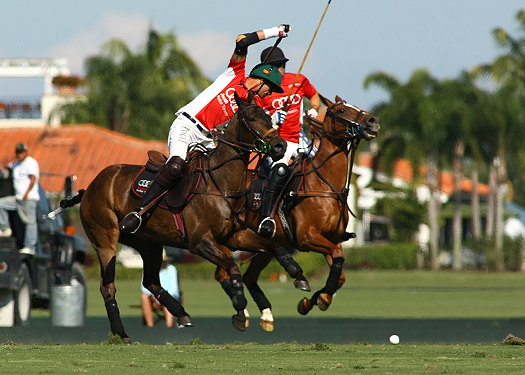 polo magazine alexpacheco us polo open championships polo tournament coca cola polo team audi polo team ipc polo club florida polo 5