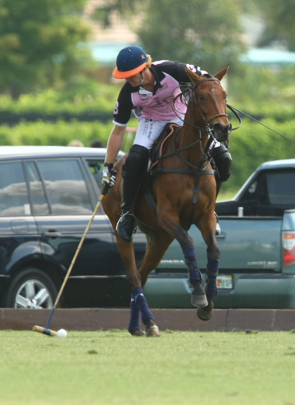 uspa polo tournament sun cup round robin pacheco polo mag 8
