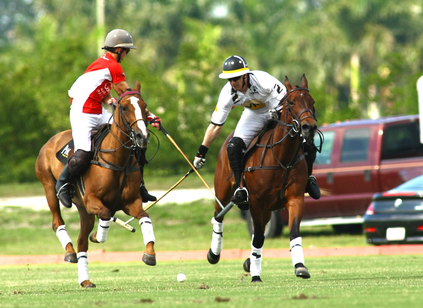 YP.com vs Audi polo team 