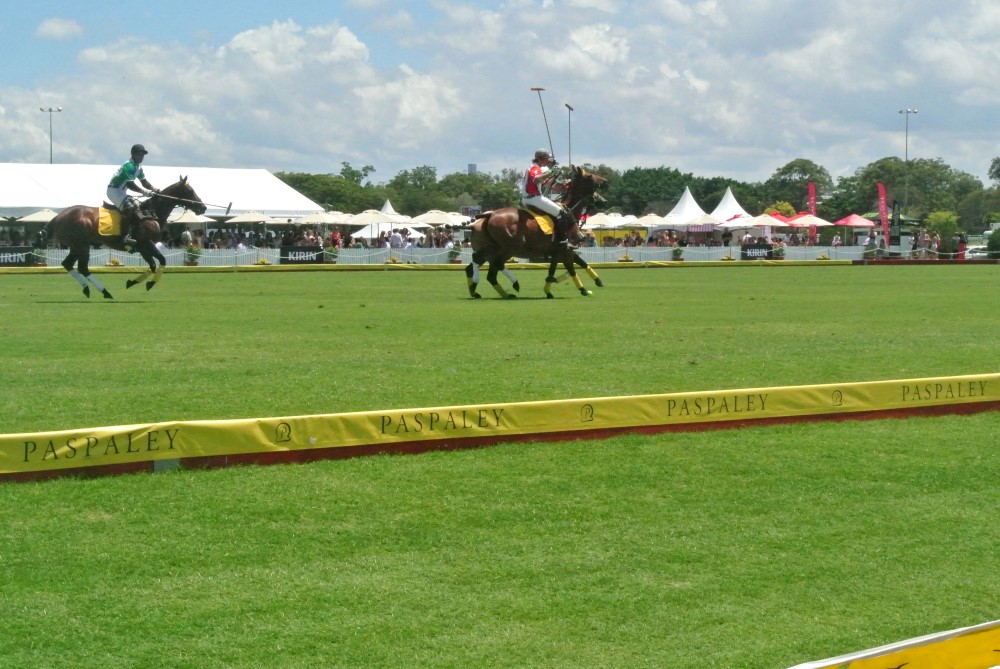 DSC 7665