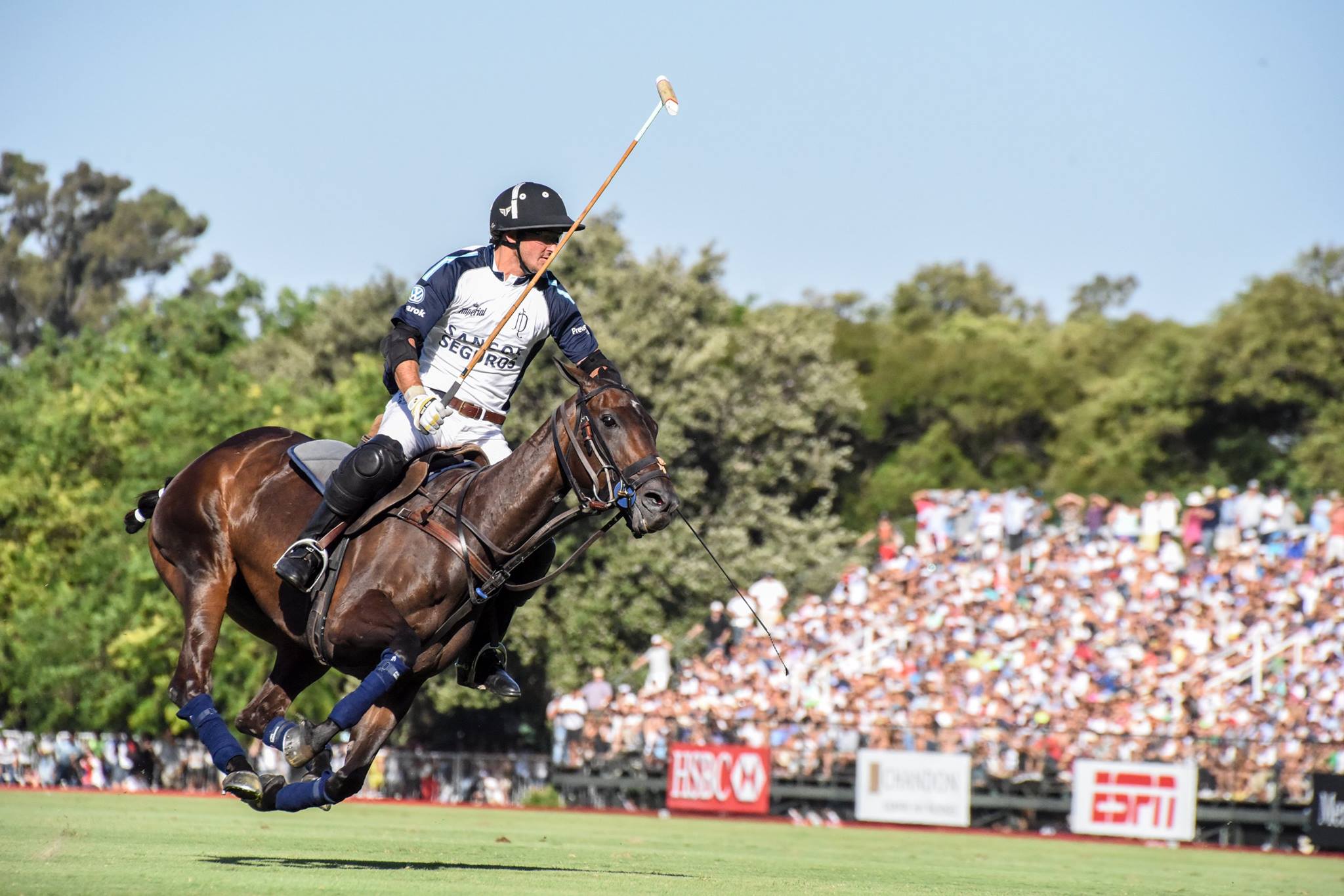 15369011 1834436503464821 2103717625743626711 o