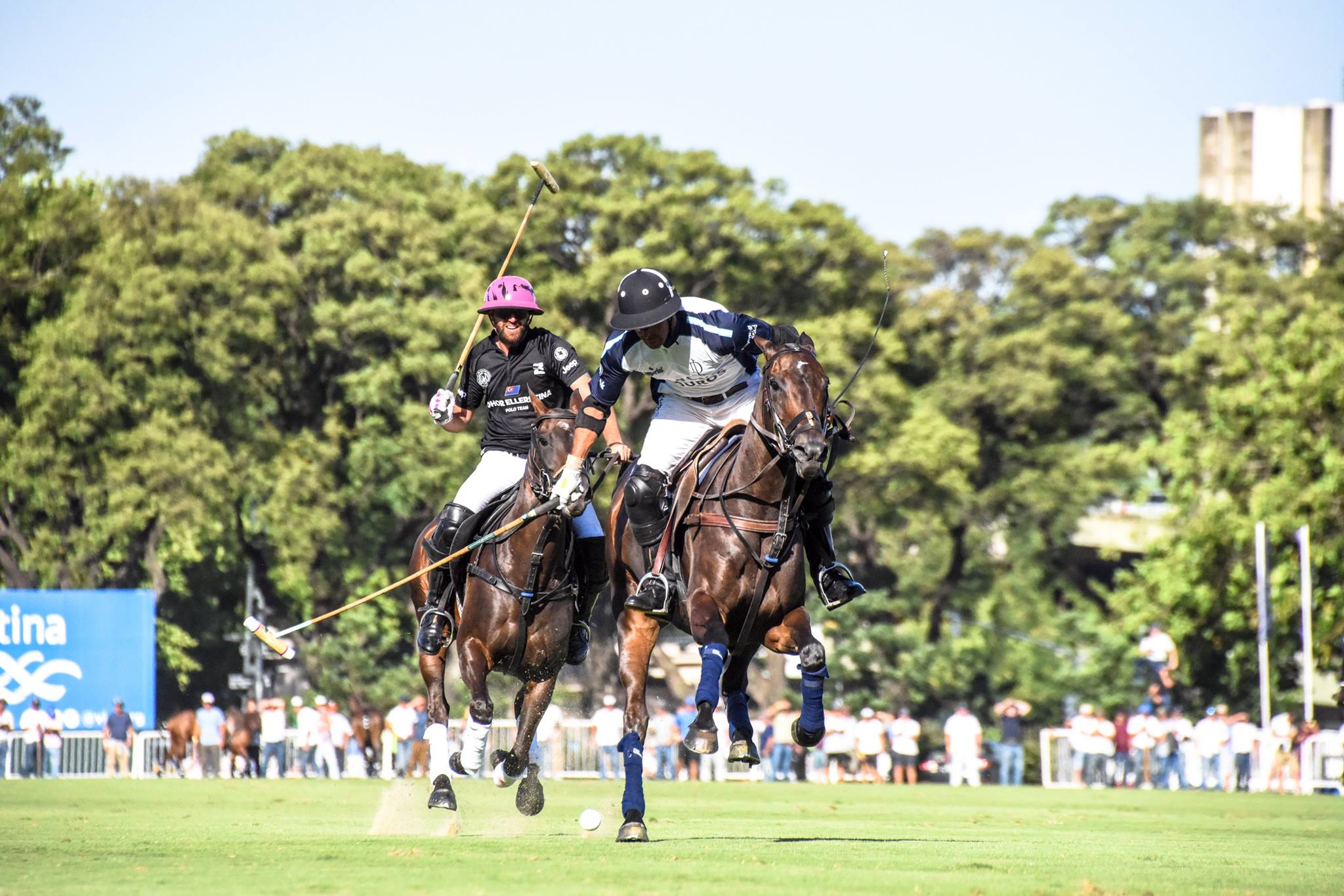 15391502 1834436596798145 9018856734318286373 o1