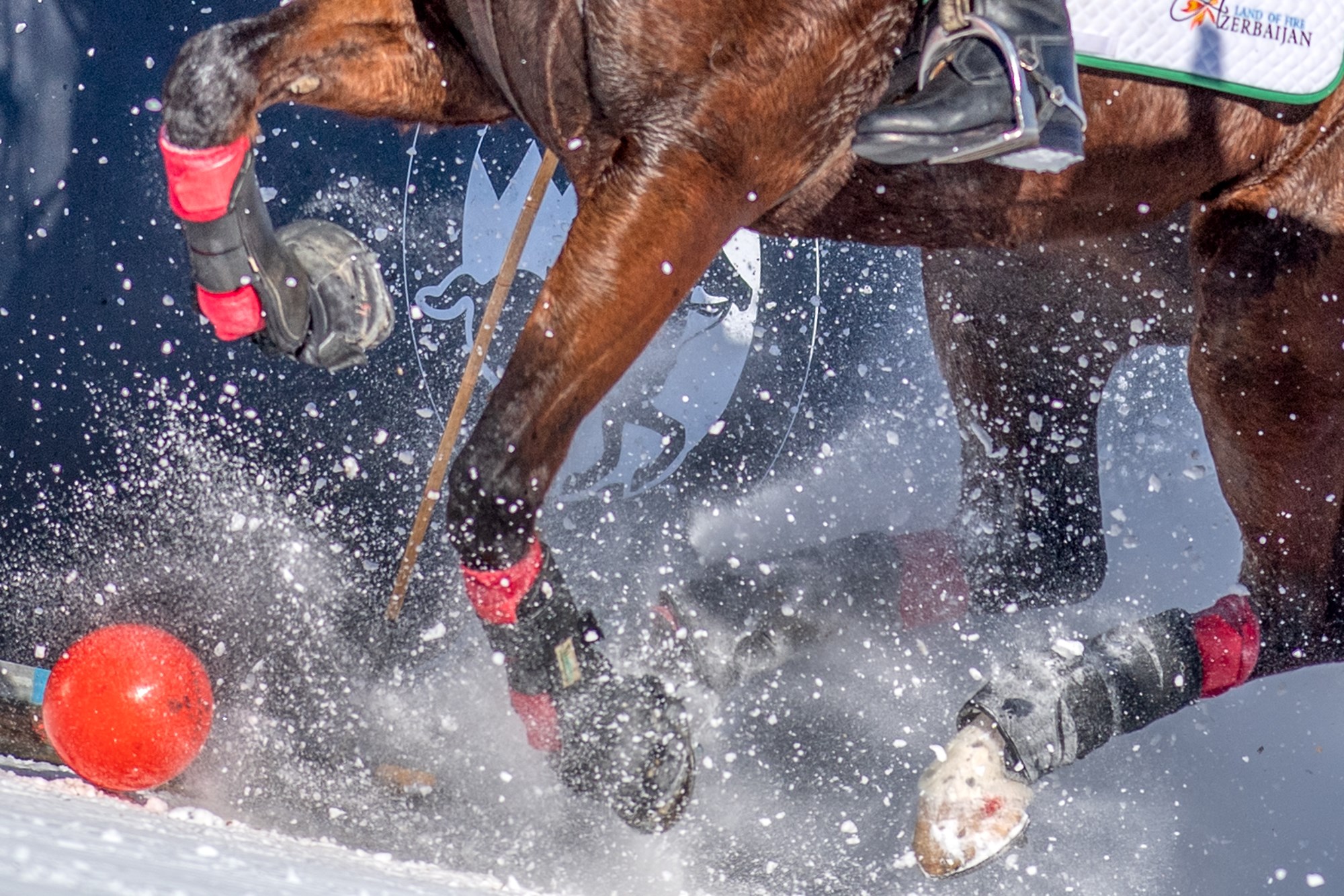 snowpolo14