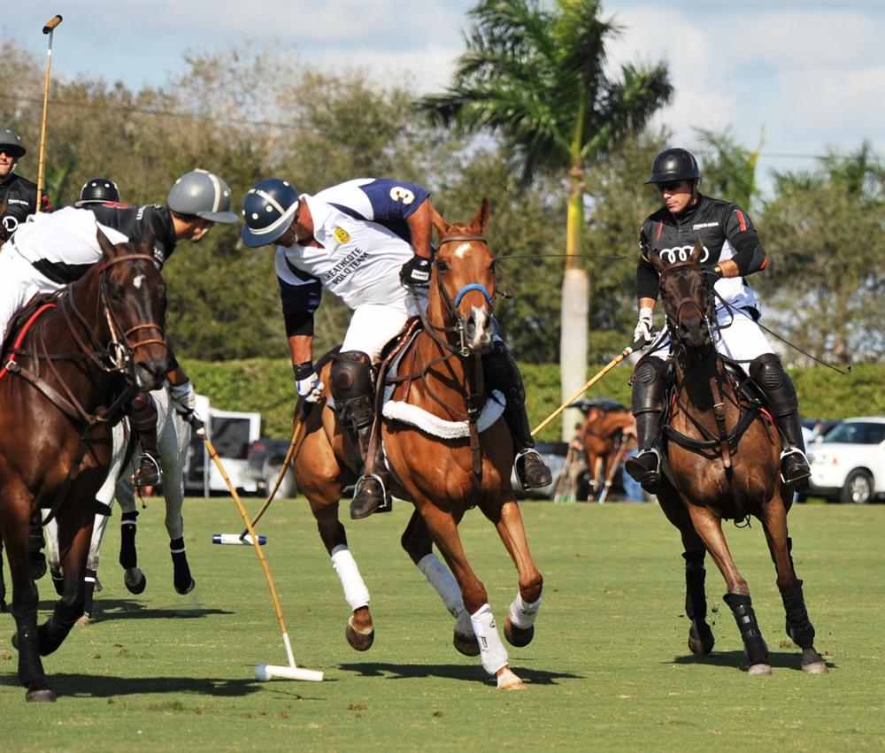 Heathcote vs audi joe barry cup 2012