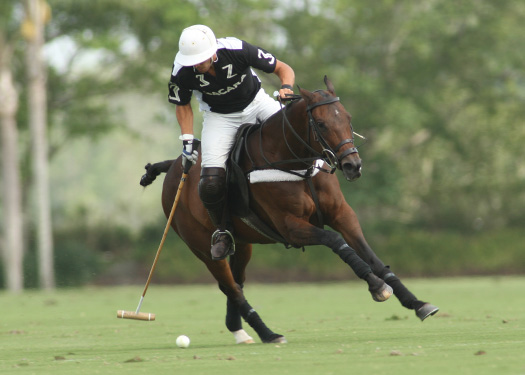 us polo open championships 2013 piaget zacara pacheco polo magazine 2